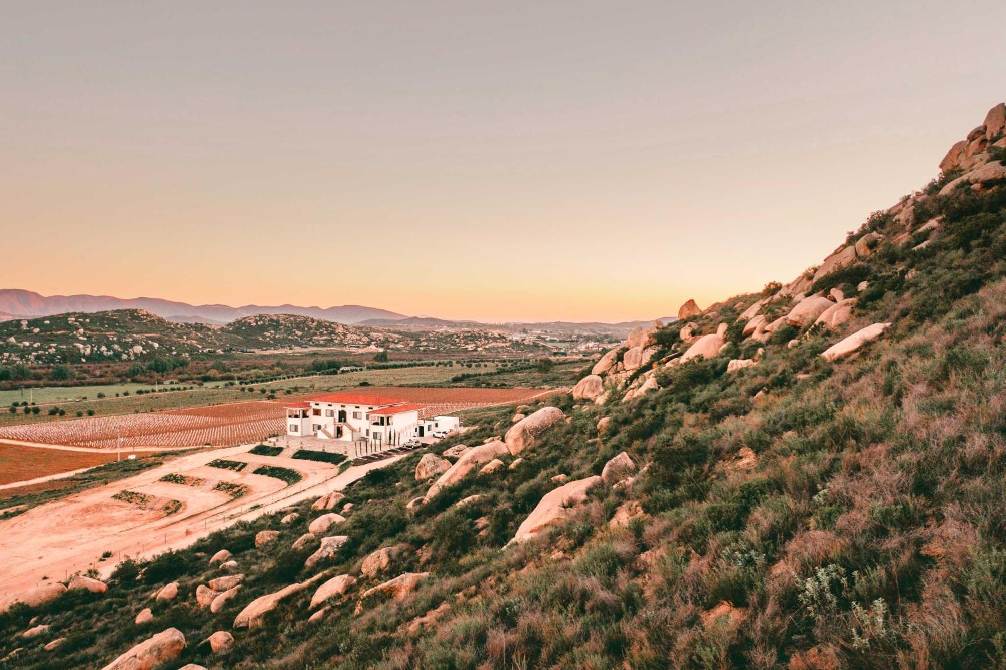 Villa Montefiori Valle de Guadalupe Buitenkant foto